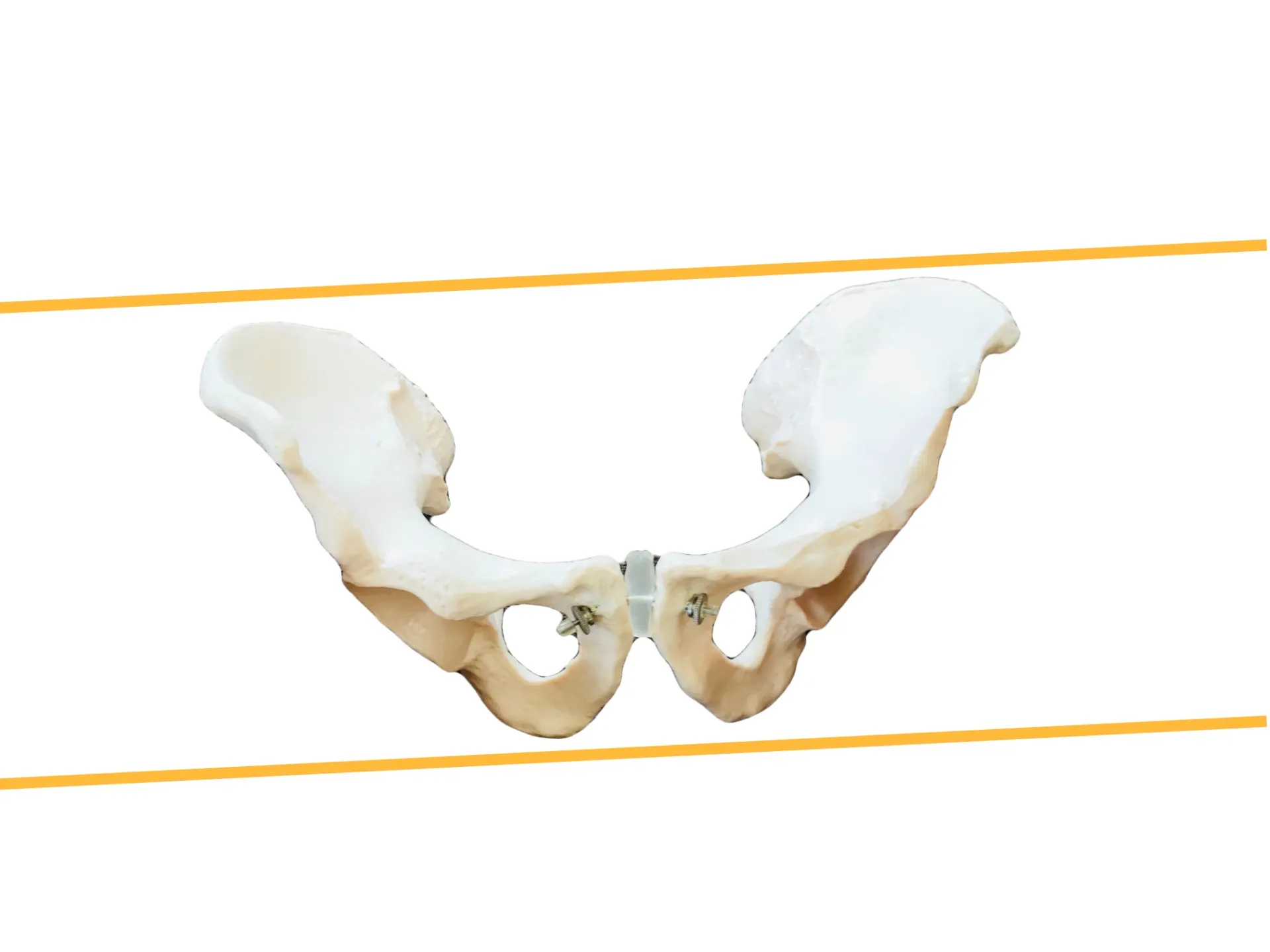 身体の歪みが気になる方必見の浅草駅骨盤矯正と改善ステップ